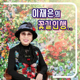 꽃길인생