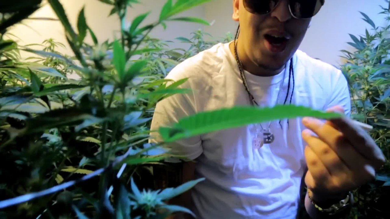 Medicated