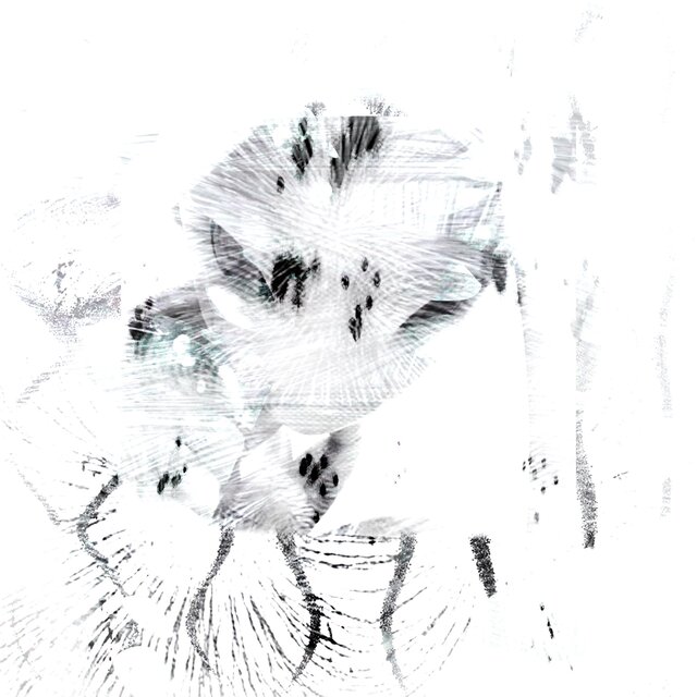 CRUSHEDFLESH