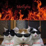 Mollybu