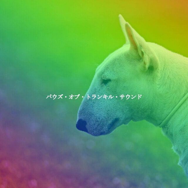 パウズ・オブ・トランキル・サウンド