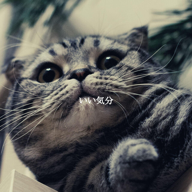 いい気分