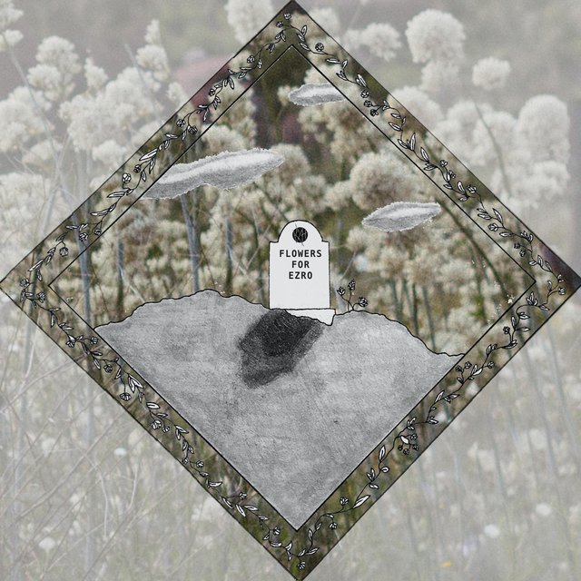 Flowers for Ezro