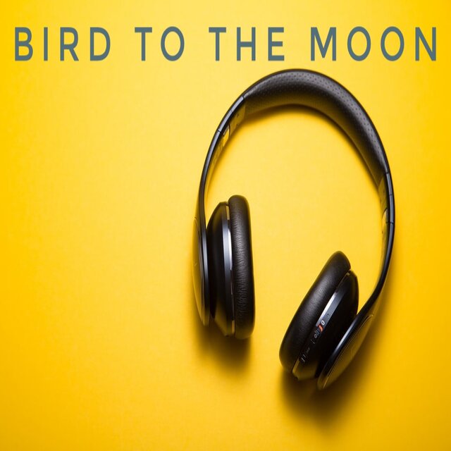 BIRD TO THE MOON