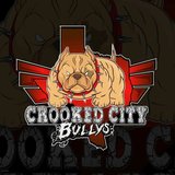 Crooked City Bullys (feat. Johnny Moog & J-Feria)