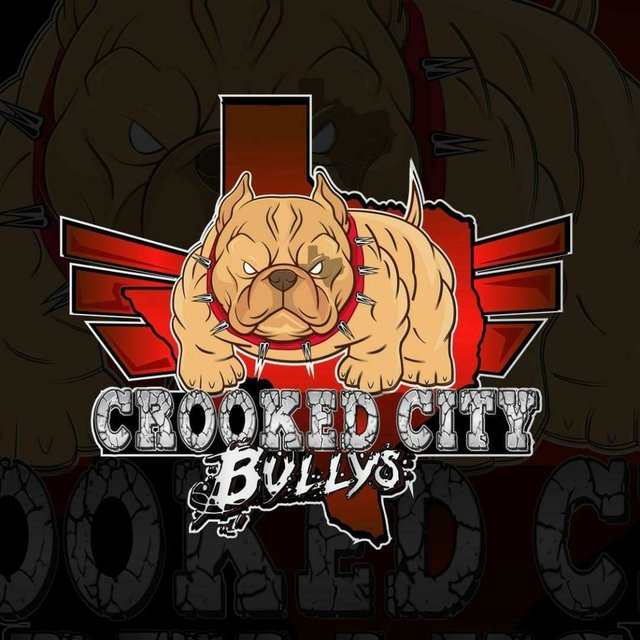 Crooked City Bullys (feat. Johnny Moog & J-Feria)