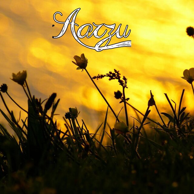 Aarzu