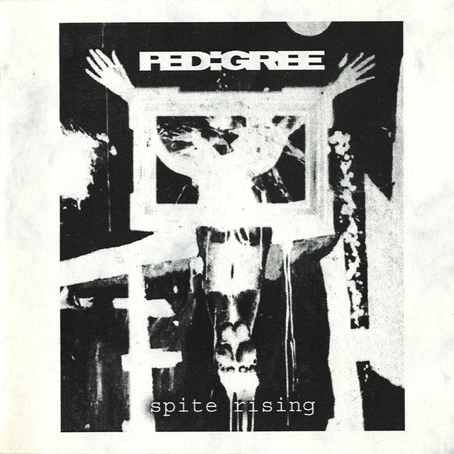 Spite Rising