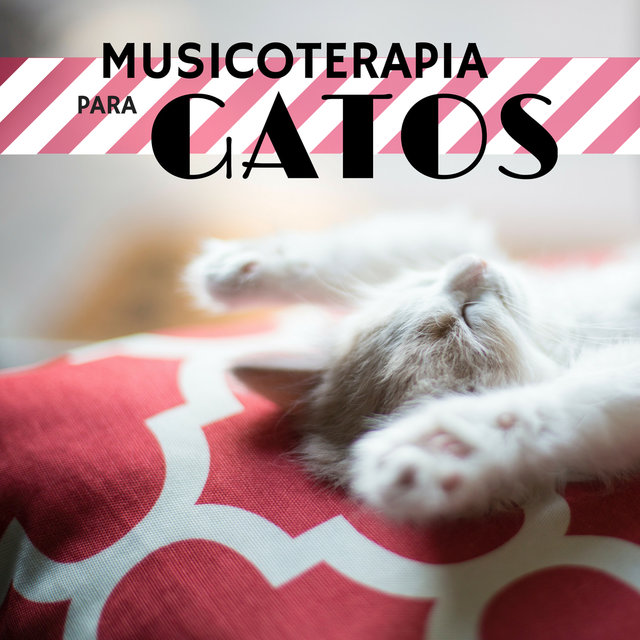 Musicoterapia para Gatos - Canciones Relajantes que Ayudarán a tus Mascotas a Tranquilizarse