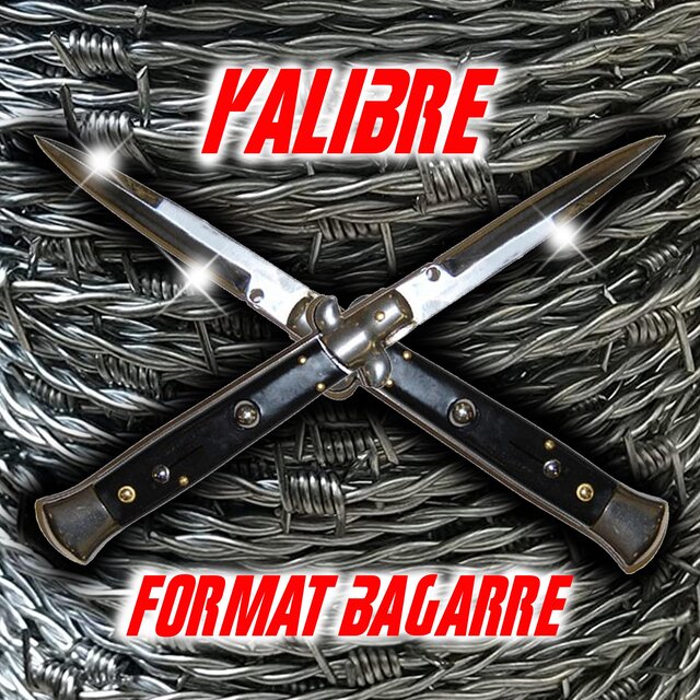 Format Bagarre