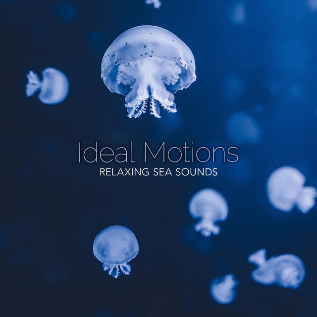 Ideal Motions
