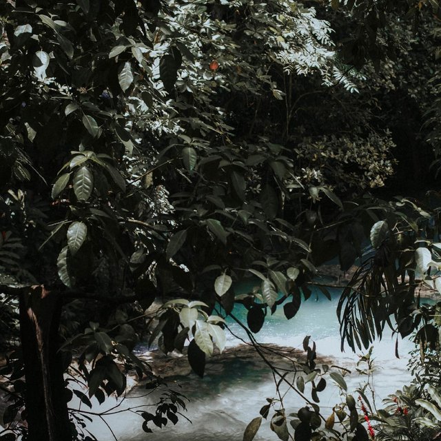 Relaxing River Sounds