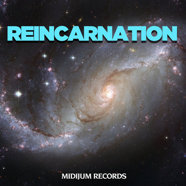 Reincarnation