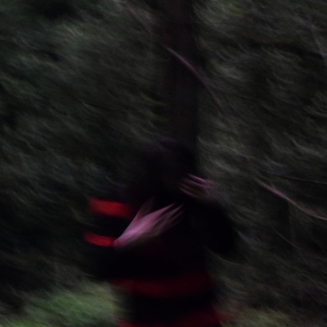 BackToTheRoots (feat. Phantom Roses)