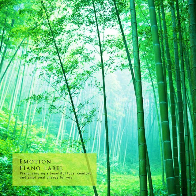 A Light Trail (Nature Ver.)