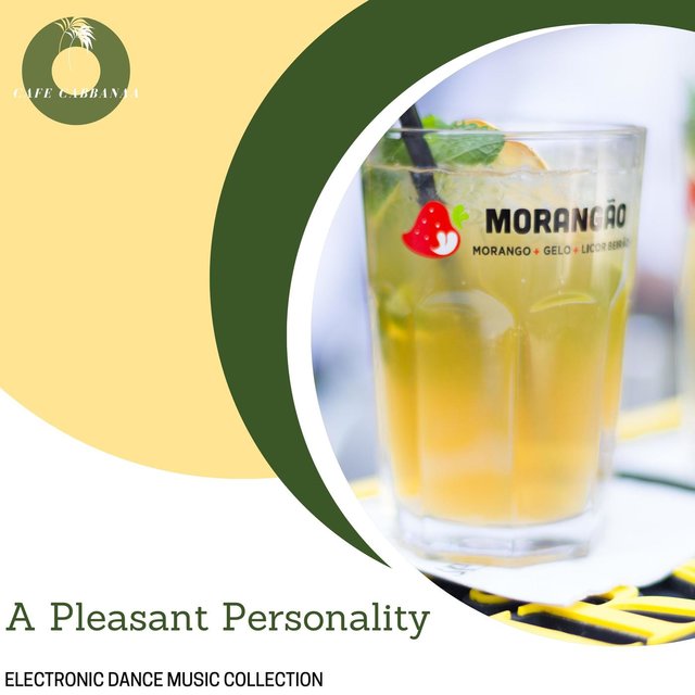 A Pleasant Personality - Electronic Dance Music Collection