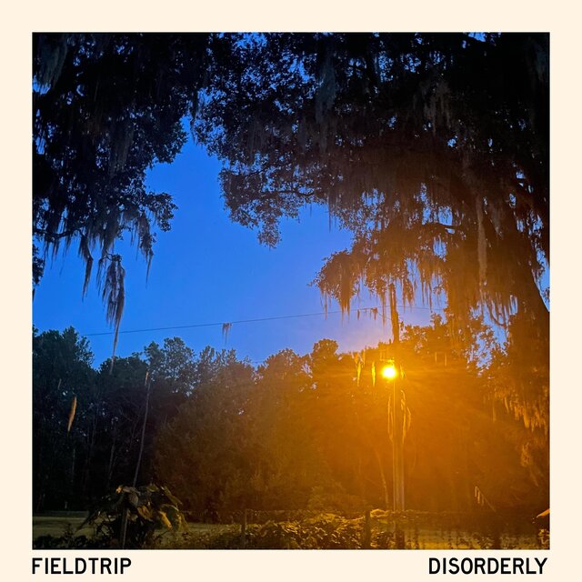 Disorderly