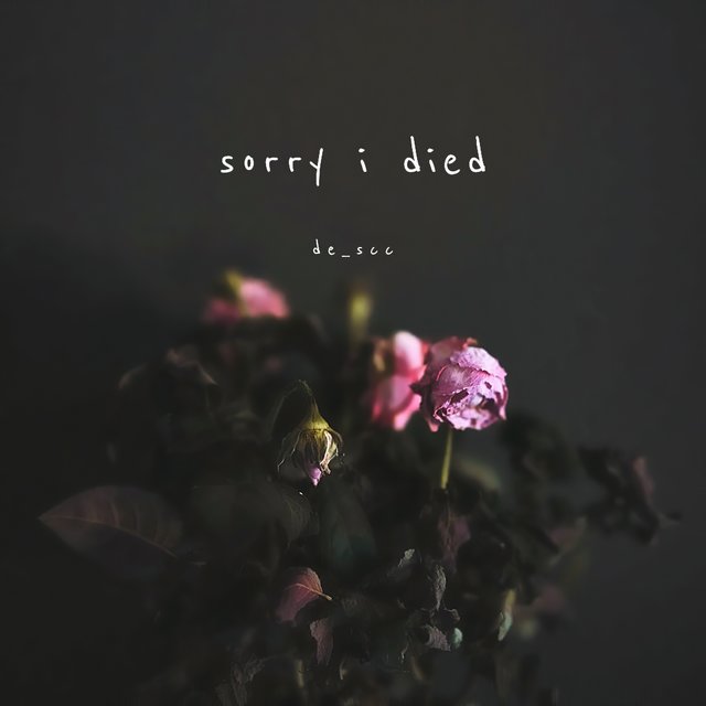 Sorry I Died