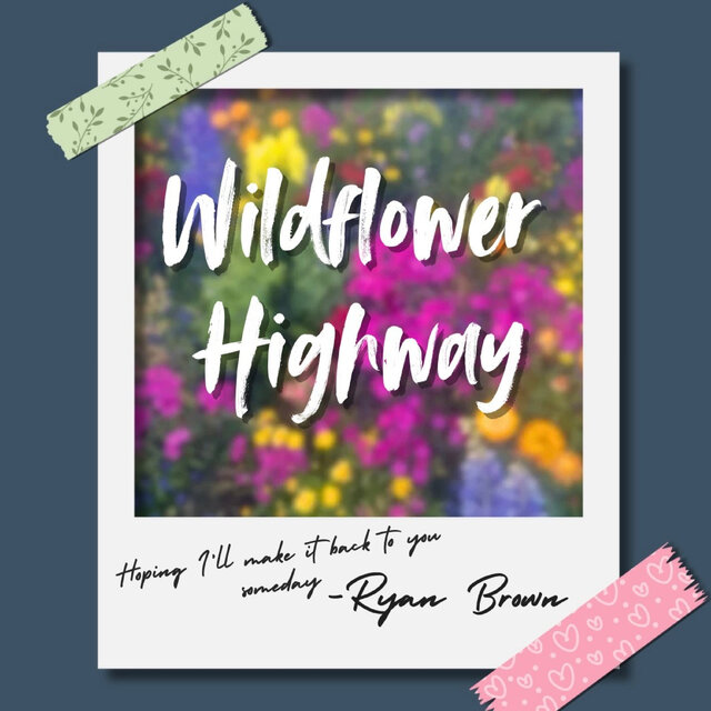 Wildflower Highway