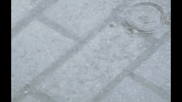 Cold Rain