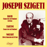 Violin Concerto in D Minor, BWV 1052: II. Adagio