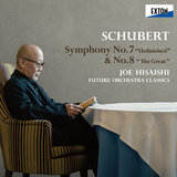 Symphony No. 7 in B Minor, D. 759 