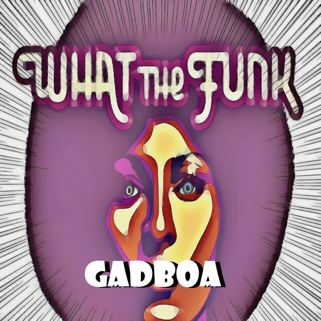 What The Funk