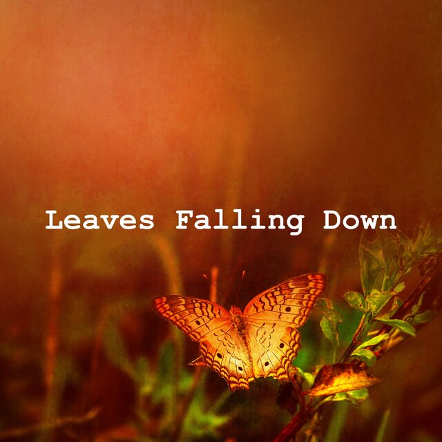 Leaves Falling Down