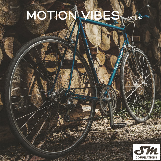 Motion Vibes, Vol. 14