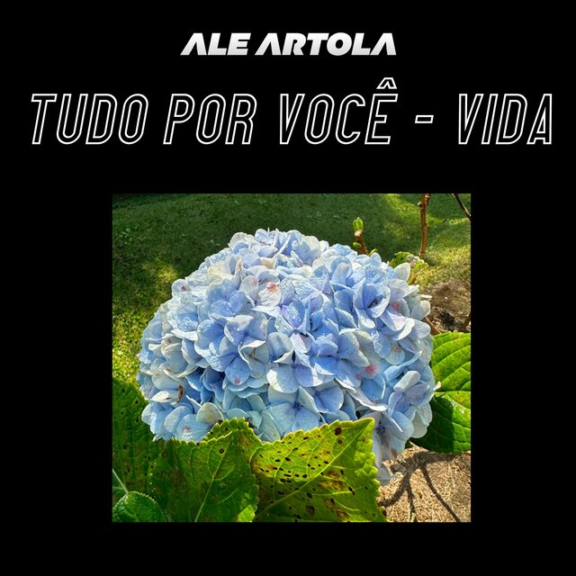 Tudo Por Você - Vida