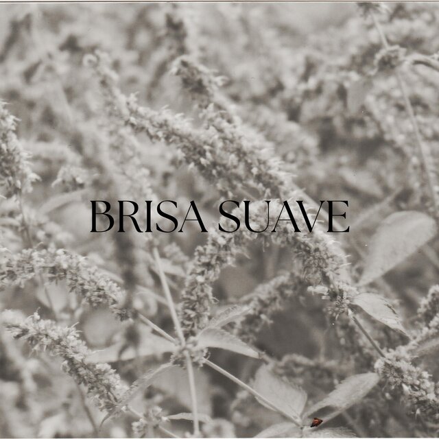 Brisa Suave