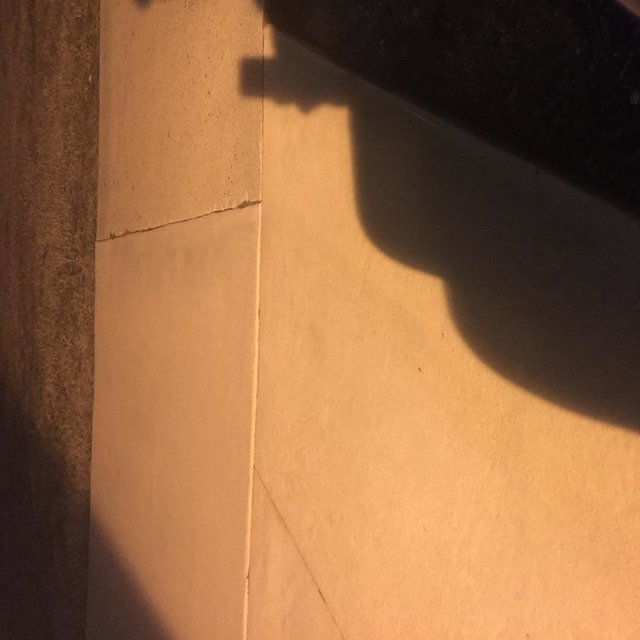 The Summer I Hid