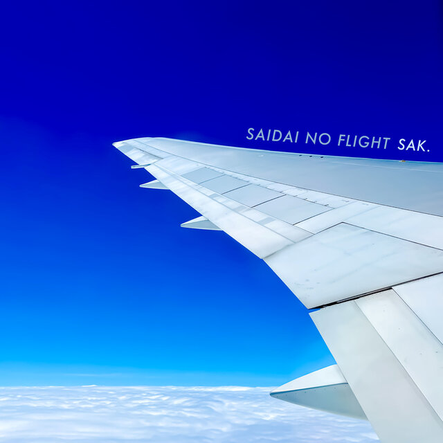 The Highest Flight