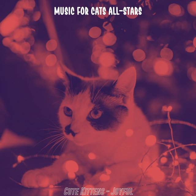 Cute Kittens - Joyful