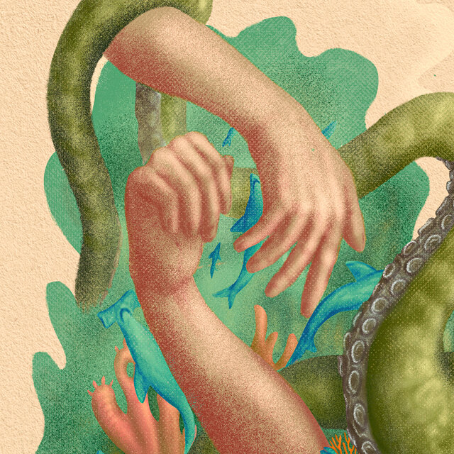 Cover art for album  by Nuva