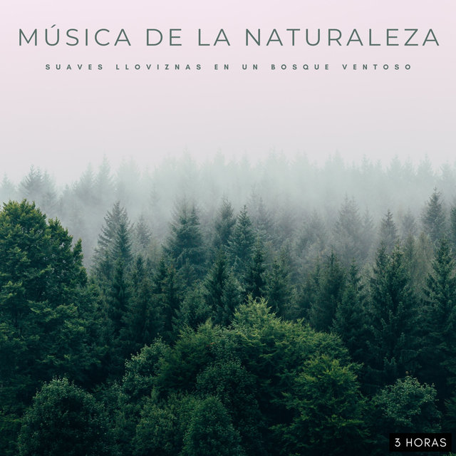 Música De La Naturaleza: Suaves Lloviznas En Un Bosque Ventoso - 3 Horas