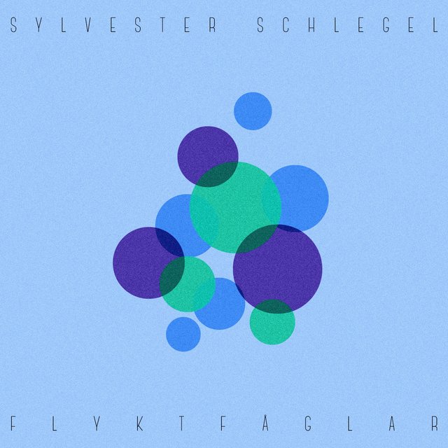 Flyktfåglar