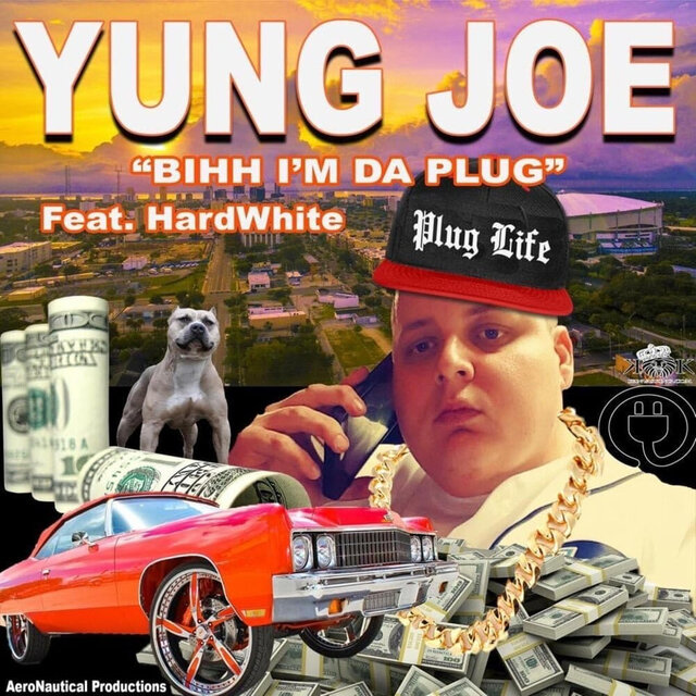 Bihh I'm da Plug