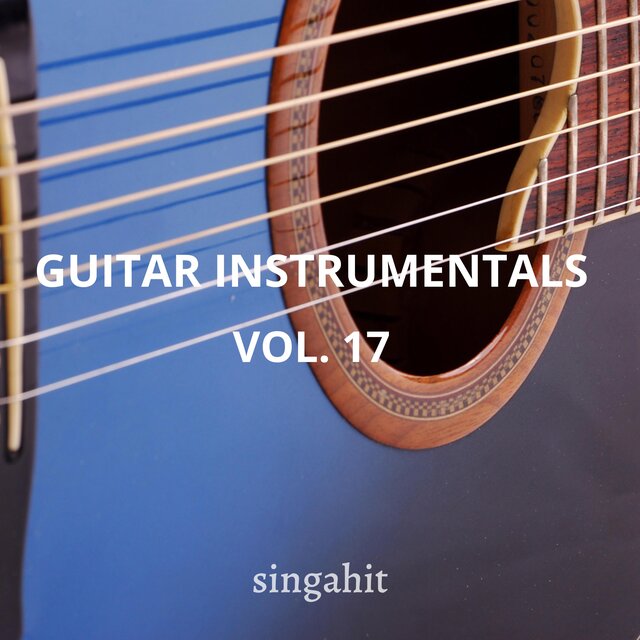 Guitar Acoustic Instrumental, Vol. 17