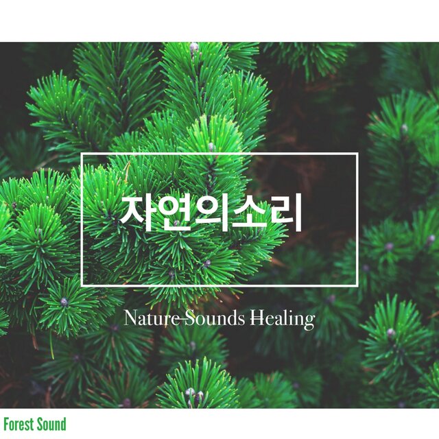 The Sound of Nature