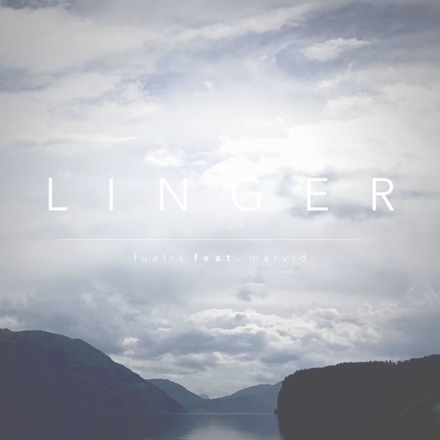 Linger (feat. Marvid)