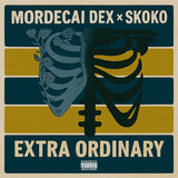 Extra Ordinary