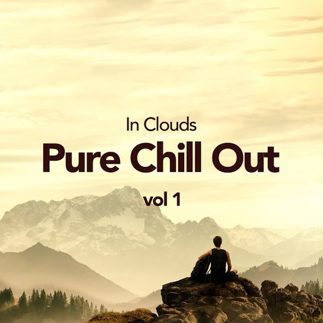 Pure Chill Out Vol 1