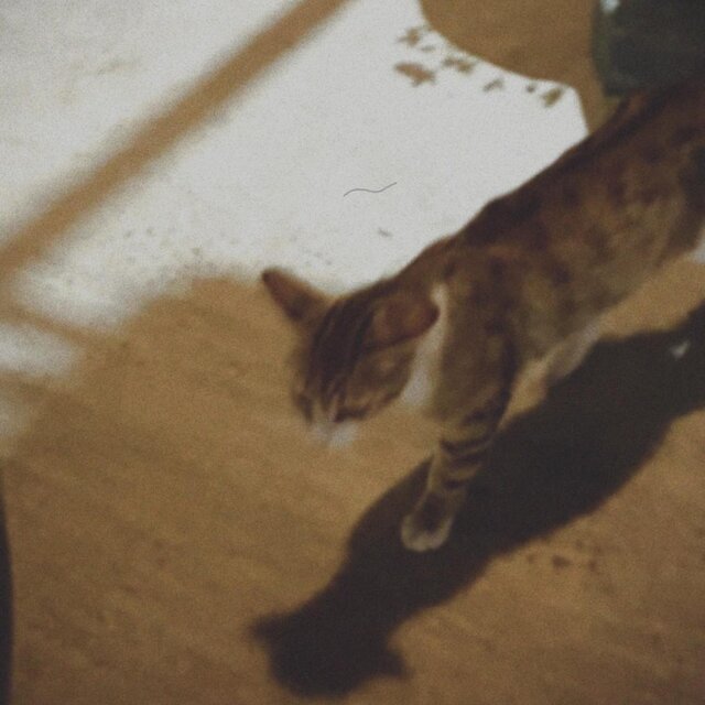 Sunrash (Remastered )