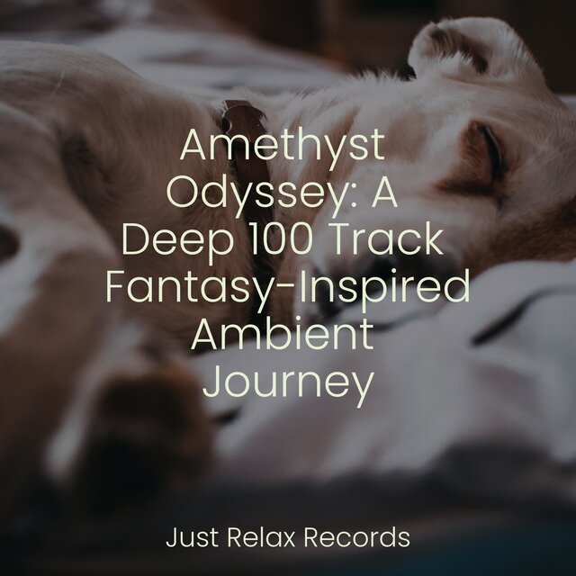 Amethyst Odyssey: A Deep 100 Track Fantasy-Inspired Ambient Journey