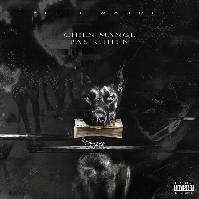 Chien Mange Pas Chien