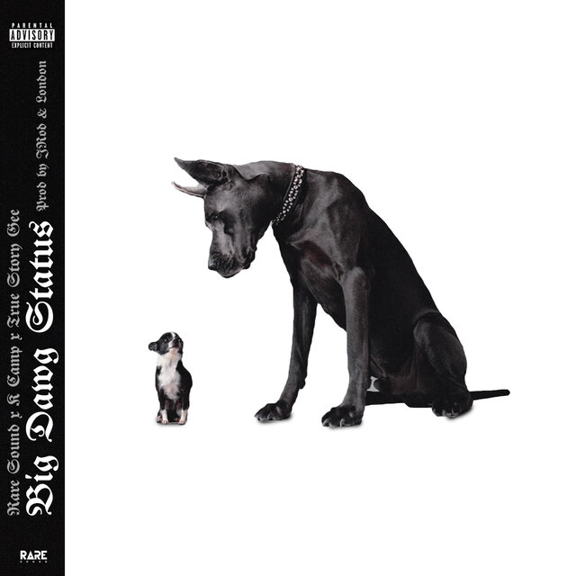 Cover art for album  by K Camp, RARE Sound, True Story Gee