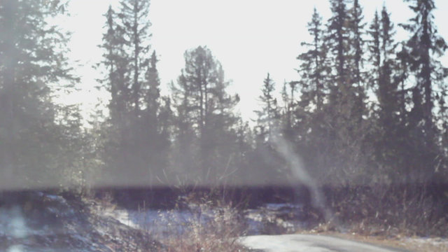 Driving Home for Christmas