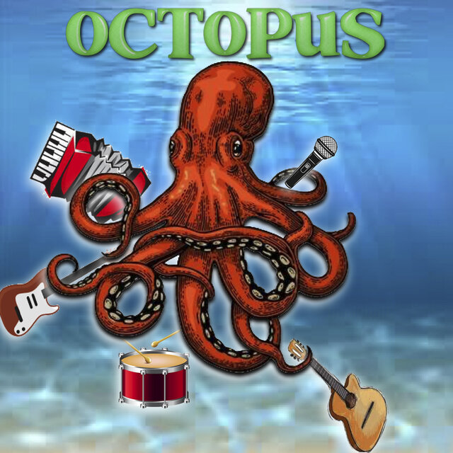 Octopus