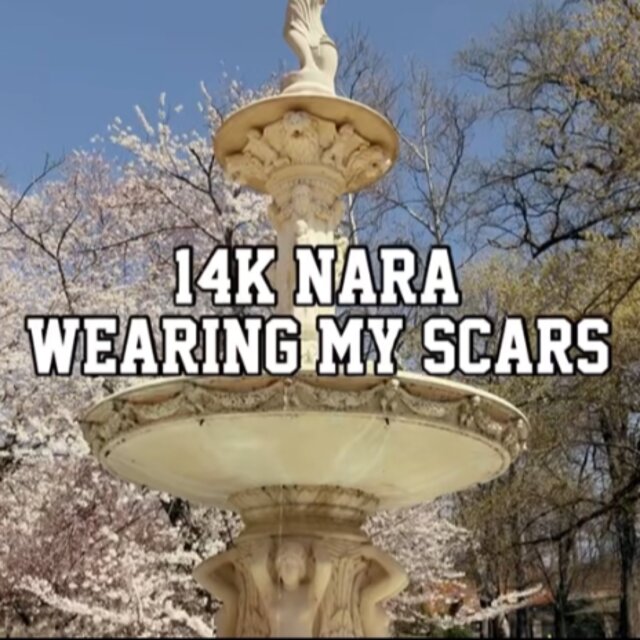 Wearing My Scars